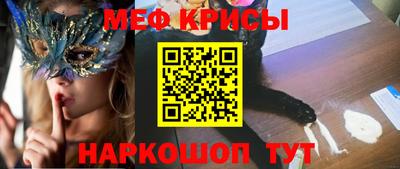 гашик Камышлов
