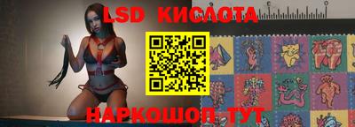 гашик Камышлов