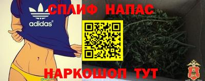 гашик Камышлов