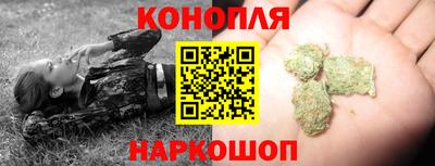 гашик Камышлов