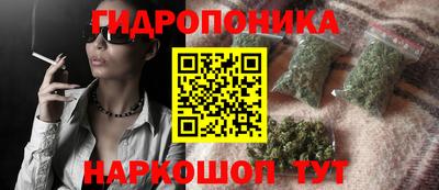 гашик Камышлов