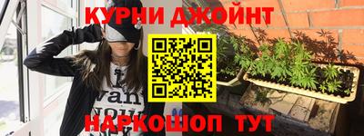 гашик Камышлов