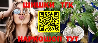гашик Камышлов