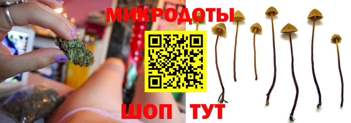 Галлюциногенные грибы MAGIC MUSHROOMS  Вход с VPN  Уфа  Галлюциногенные грибы GOLDEN TEACHER 